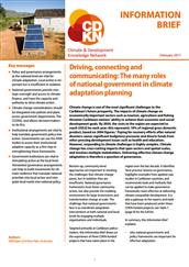 Driving, connecting and communicating: the many roles of national government in climate adaptation planning